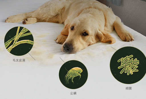 大發(fā)寶家居 | 春夏季節(jié)，如何對付蠢蠢欲動的螨蟲？請接招