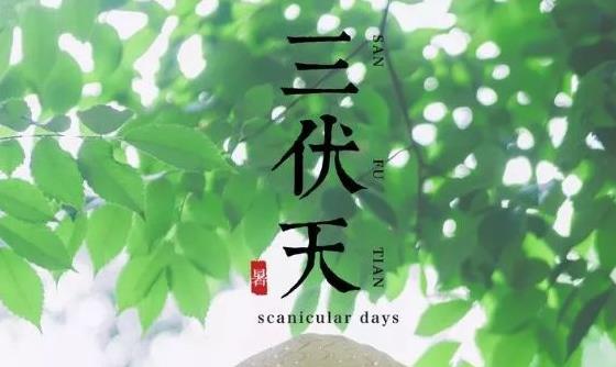 三伏天,最適合曬曬曬！