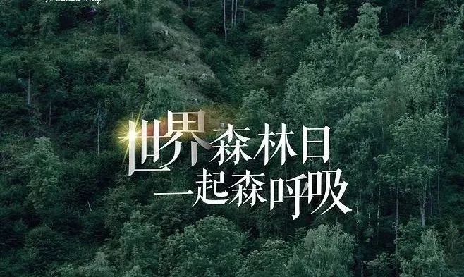 世界森林日，讓自然之美森森不息！