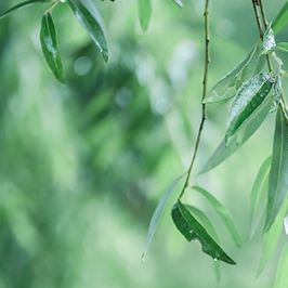 谷雨時節(jié)||谷潤萬物，清新怡人，萬物復(fù)蘇